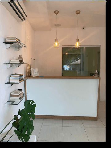 Recepção da Ânima, com livros, plantas e luz acolhedora